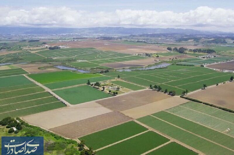 ۷۰ درصد اراضی کشاورزی خرده مالکی است