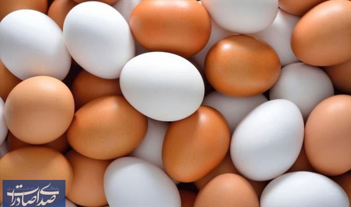 فروش هرشانه تخم مرغ بالاتر از ۷۶ هزار تومان تخلف است