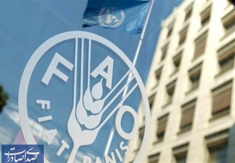 گزارش فائو از رتبههای تک رقمی ایران در تولید ۲۰ محصول کشاورزی گزارش فائو از رتبههای تک رقمی ایران در تولید ۲۰ محصول کشاورزی