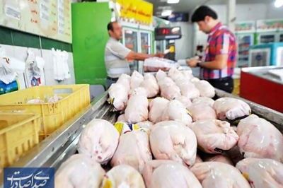 برای مقایسه ایران با آمریکا و اروپا، قیمت مرغ معیار است یا درآمد سرانه؟!