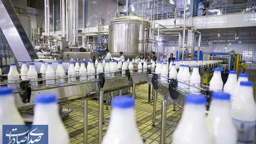 زنجیره تولید شیر با محوریت منطقه آزاد ماکو راه‌اندازی می‌شود