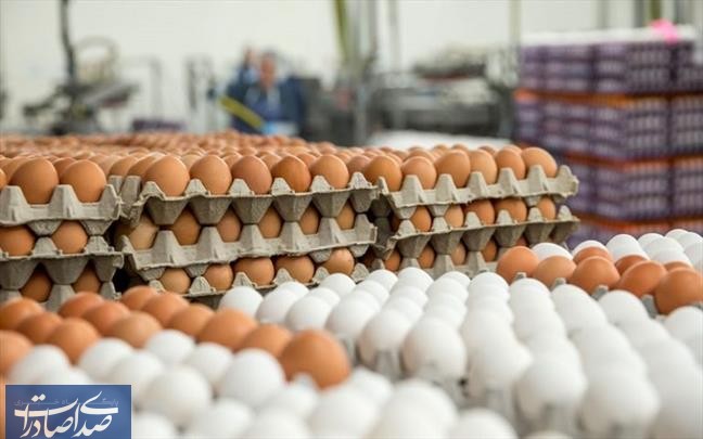 قیمت تمام شده هر کیلو تخم‌مرغ ۴۳ هزار تومان است