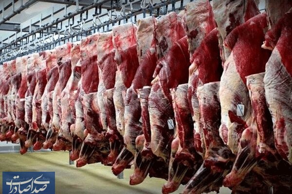 کاهش قیمت گوشت قرمز از هفته جاری