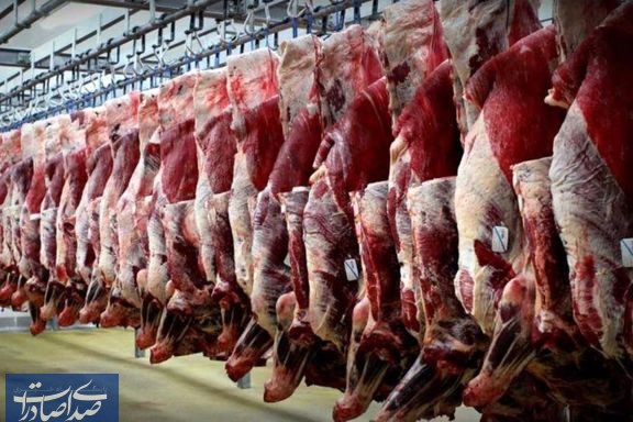 عرضه گوشت گوسفندی ۲۳۲ هزار تومانی در میادین تهران و تکذیب گوشت ۵۰۰ هزار تومانی