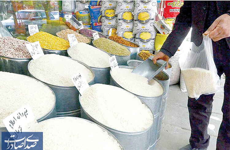 کاهش قیمت انواع برنج ایرانی