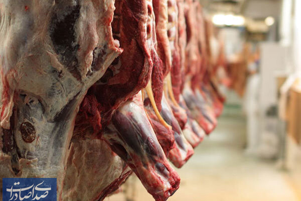 کاهش قیمت گوشت گوسفندی و گوساله در بازار تهران