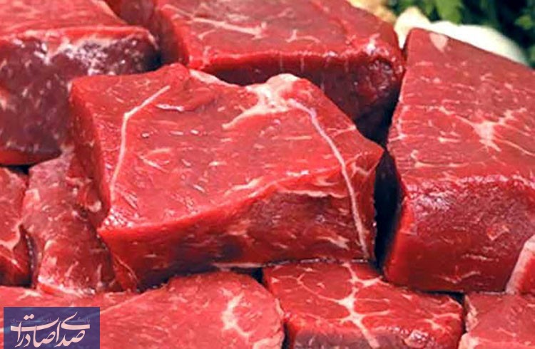 افزایش ۱۳ درصدی عرضه گوشت قرمز منجمد وارداتی در آذر ماه