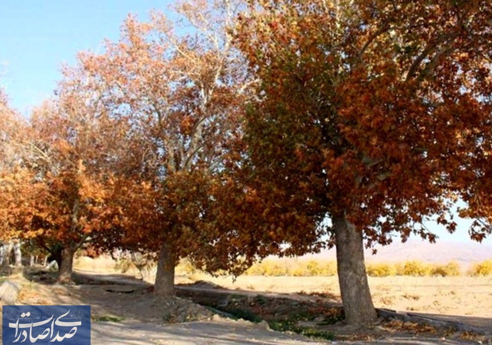 ایران در یک پاییز تلخ و گرمای غیرمعمول که آب، غذا و زندگی مردم را میبلعد ایران در یک پاییز تلخ و گرمای غیرمعمول که آب، غذا و زندگی مردم را میبلعد