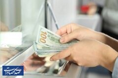 قیمت دلار ثابت ماند