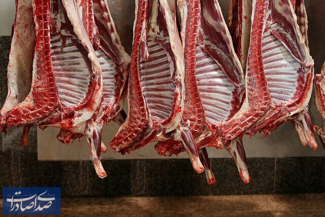 قیمت واقعی گوشت در بازار گم شده است
