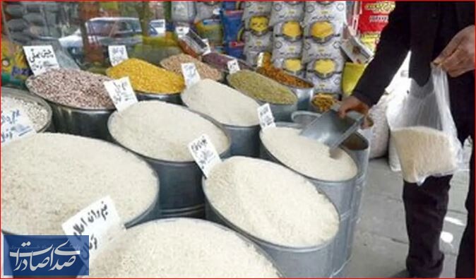 واردات برنج ۵۰ درصد کاهش یافت