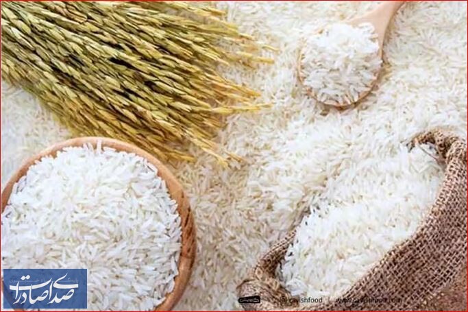 واردات برنج ۵۰ درصد کاهش یافت واردات برنج ۵۰ درصد کاهش یافت